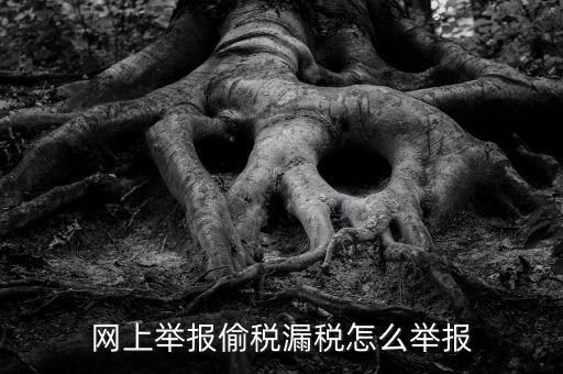 如何網(wǎng)上稅務(wù)舉報(bào)，網(wǎng)上舉報(bào)偷稅漏稅怎么舉報(bào)