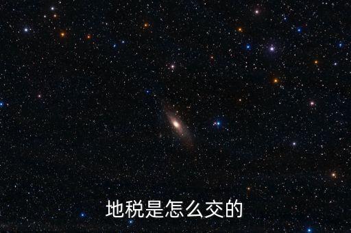 單位如何繳地稅，辦公司怎樣交地稅