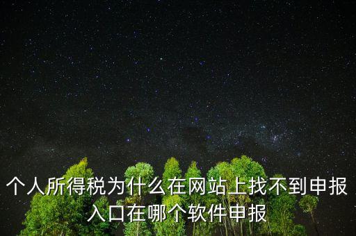 自然人如何申報，請問小規(guī)模個人所得稅在哪里申報怎么申報呢