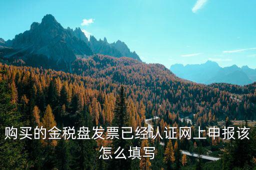 購(gòu)買的金稅盤(pán)發(fā)票已經(jīng)認(rèn)證網(wǎng)上申報(bào)該怎么填寫(xiě)
