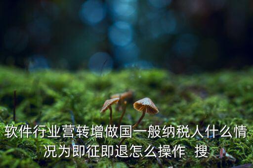 即征即退政策如何辦理，軟件行業(yè)營轉(zhuǎn)增做國一般納稅人什么情況為即征即退怎么操作  搜
