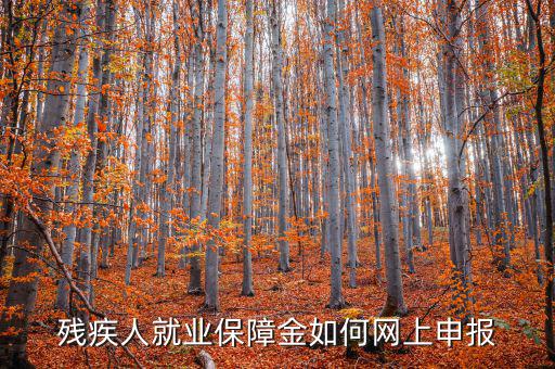 安徽殘疾人保障金如何網(wǎng)上申報(bào)，殘疾人就業(yè)保障金如何網(wǎng)上申報(bào)