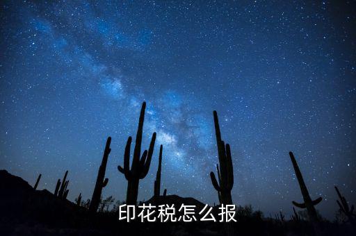 如何國(guó)稅申報(bào)印花稅，印花稅怎么報(bào)