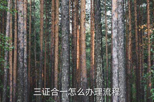 惠州市如何進(jìn)行三證合一，三證合一怎么辦理流程