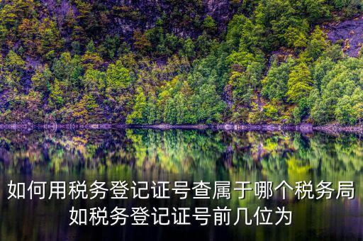 如何用稅務(wù)登記證號查屬于哪個稅務(wù)局如稅務(wù)登記證號前幾位為