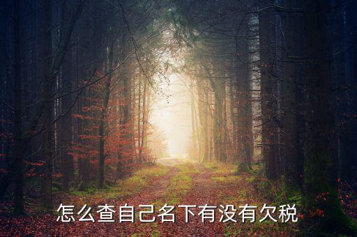 如何查欠稅記錄，怎么查個(gè)人有沒有欠稅