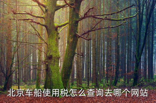 北京車船稅如何查詢系統(tǒng)，北京車船使用稅怎么查詢交沒交