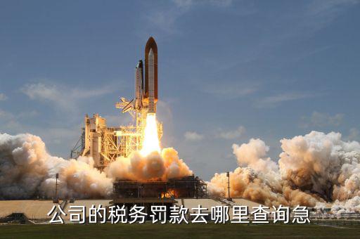 如何查稅收罰款，公司的稅務(wù)罰款去哪里查詢急