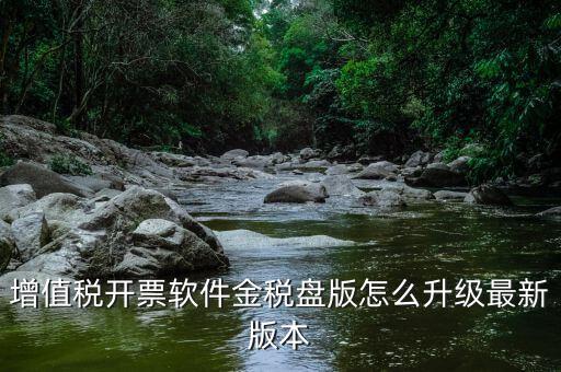 增值稅開票軟件金稅盤版怎么升級(jí)最新版本