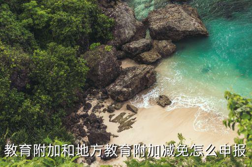地方教育附加如何申報了，教育附加和地方教育附加減免怎么申報