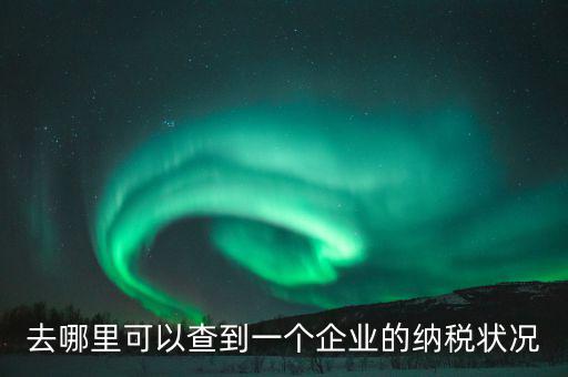 企業(yè)在哪納稅如何查，去哪里可以查到一個(gè)企業(yè)的納稅狀況