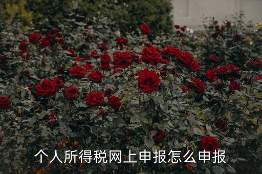 福建個人納稅如何申報，個人所得稅網上申報怎么申報