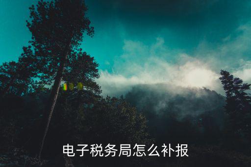 湖南地方稅如何做補充申報，電子稅務局怎么補報