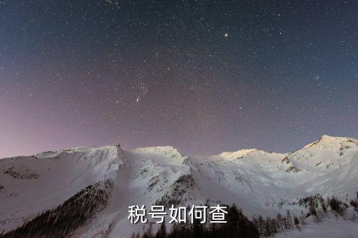 如何查詢公司稅務(wù)編號(hào)查詢，如何通過企業(yè)注冊(cè)號(hào)查詢企業(yè)稅務(wù)登記證號(hào)