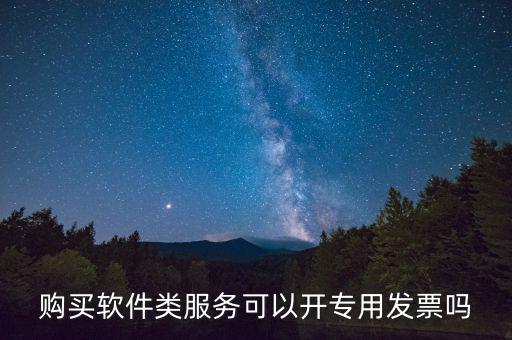 軟件采購專票如何開具，購買軟件類服務(wù)可以開專用發(fā)票嗎