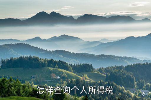 如何查詢個人交稅，個人所得稅繳納記錄怎么查詢