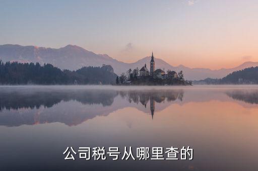 企業(yè)稅號如何查詢，公司稅號從哪里查的