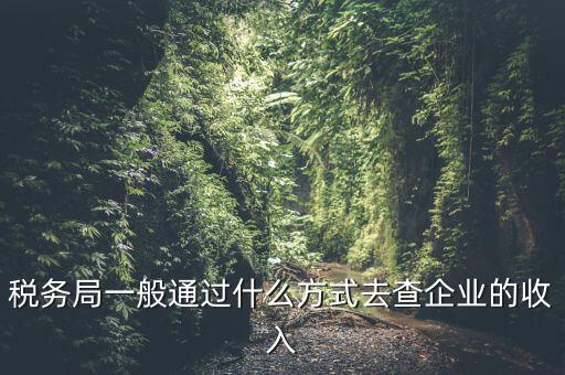 稅務如何統(tǒng)計收入，小規(guī)模增值稅季報在哪里統(tǒng)計收入