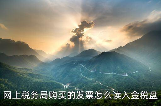 網(wǎng)上稅務(wù)局購(gòu)買的發(fā)票怎么讀入金稅盤