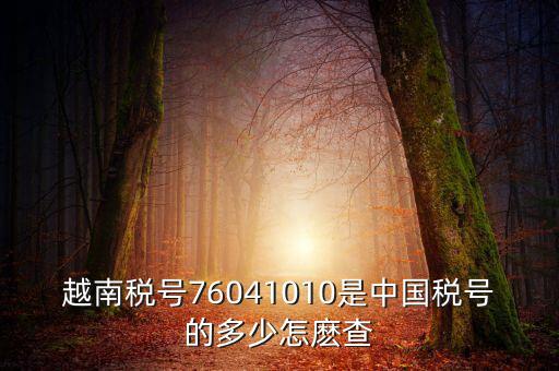 中國如何查個人稅號，越南稅號76041010是中國稅號的多少怎麼查