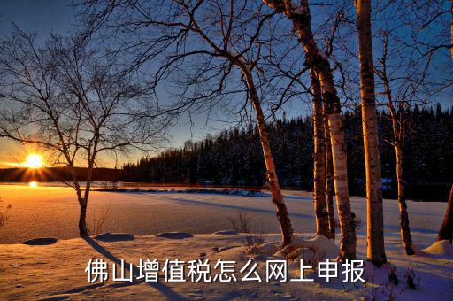 佛山地稅如何網(wǎng)上申報(bào)，佛山增值稅怎么網(wǎng)上申報(bào)