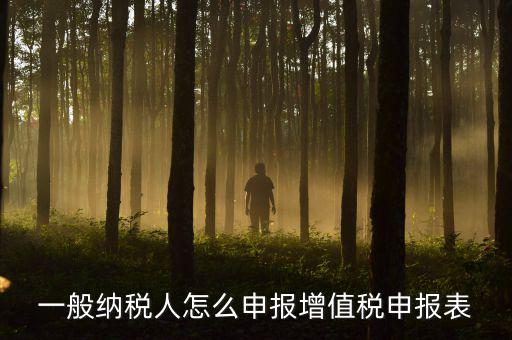 增值一般納稅人國稅如何申報，一般納稅人怎么申報增值稅申報表