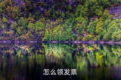 如何在網(wǎng)上領(lǐng)發(fā)票，怎樣領(lǐng)購(gòu)發(fā)票