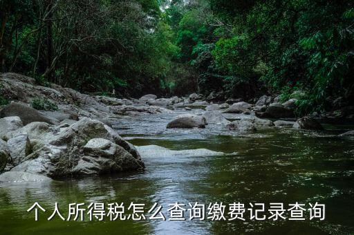 個(gè)人所得稅怎么查詢(xún)繳費(fèi)記錄查詢(xún)