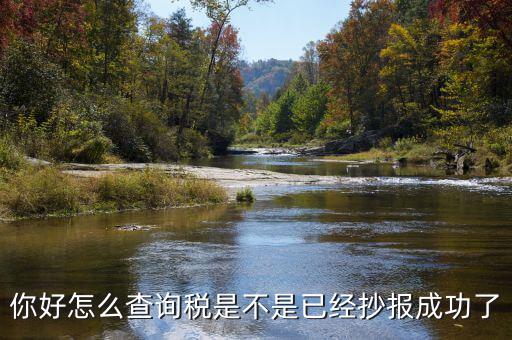 如何查看抄報(bào)成功，稅控發(fā)票開票軟件怎么看網(wǎng)上抄報(bào)成功沒(méi)有