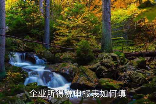 如何填寫企業(yè)所得稅申報(bào)表，如何填制企業(yè)年度所得稅申報(bào)表