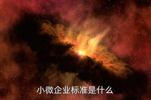 泰州如何認(rèn)定小微企業(yè)，兼營(yíng)營(yíng)業(yè)稅應(yīng)稅項(xiàng)目怎樣界定是否可享受暫免征收部分小微企