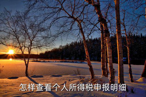 如何查詢個人所得稅明細(xì)申報，怎樣查看個人所得稅申報明細(xì)