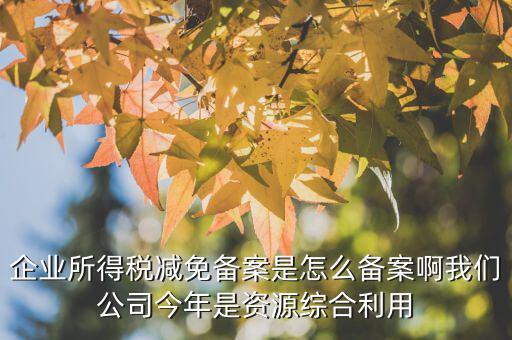 如何打印稅收優(yōu)惠備案通知書，減免稅備案登記告知書在哪里打印的