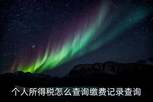 金稅三期個人所得稅如何查詢，個人所得稅怎么查詢繳費記錄查詢