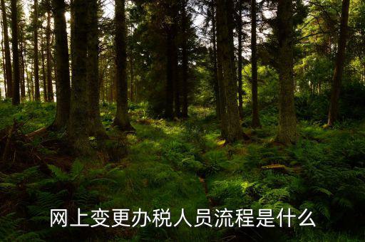 四川如何在網(wǎng)上變更辦稅人員，網(wǎng)上變更辦稅人員流程是什么