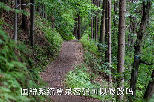 稅務(wù)系統(tǒng)如何修改密碼，金稅三期怎樣修改報(bào)稅密碼