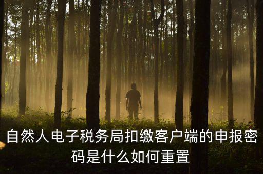 自然人納稅申報(bào)密碼如何找回，電子稅務(wù)局密碼忘記了怎么找回