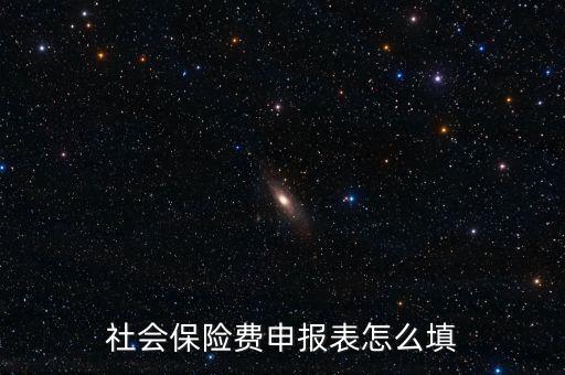 稅務(wù)系統(tǒng)社保費(fèi)申報(bào)表如何填報(bào)，社會(huì)保險(xiǎn)費(fèi)申報(bào)表怎么填