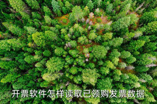 發(fā)票數(shù)據(jù)如何采集，開票軟件怎樣讀取已領(lǐng)購(gòu)發(fā)票數(shù)據(jù)