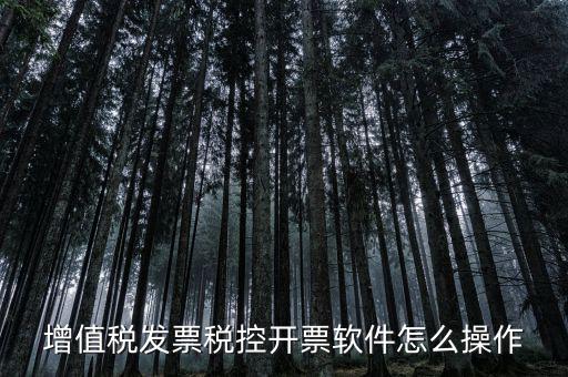 百望開票軟件如何開票，百望開票系統(tǒng)發(fā)票抬頭有符號怎么打