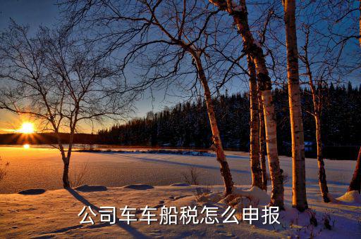 單位汽車的車船稅如何申報，公司車車船稅怎么申報