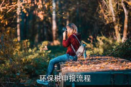 噪聲如何填寫環(huán)保稅，環(huán)保稅如何申報(bào)