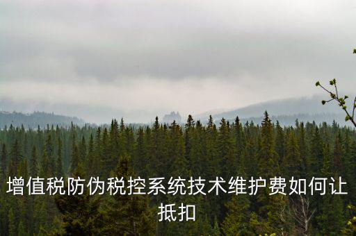 稅控維護(hù)費(fèi)如何抵稅，稅控維護(hù)費(fèi)抵扣問題