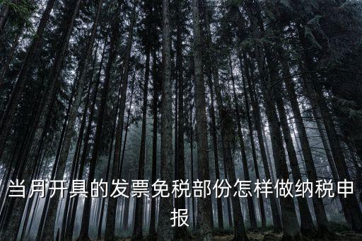 免稅和納稅如何申報(bào)，當(dāng)月開(kāi)具的發(fā)票免稅部份怎樣做納稅申報(bào)