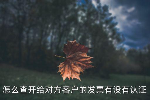 如何查詢未認(rèn)證的發(fā)票嗎，如何查詢開給對方的發(fā)票有沒有認(rèn)證