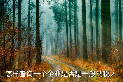 遼寧如何查一般納稅人，怎樣查詢一個企業(yè)是否是一般納稅人