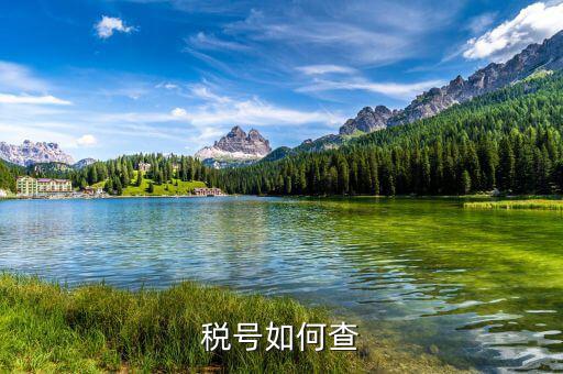國(guó)際企業(yè)稅號(hào)如何查詢，老外要公司稅號(hào)他怎么查呢
