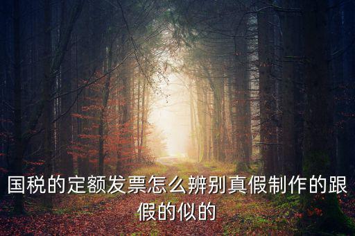 如何驗(yàn)證定額發(fā)票，國(guó)稅的定額發(fā)票怎么辨別真假制作的跟假的似的