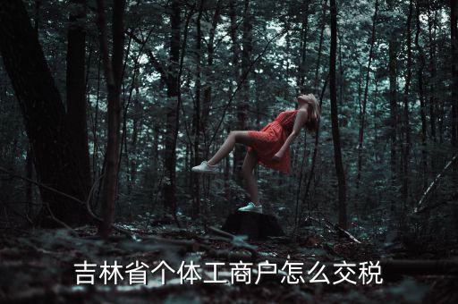 吉林個(gè)人所得稅如何申報(bào)，個(gè)人所得稅申報(bào)問題吉林省