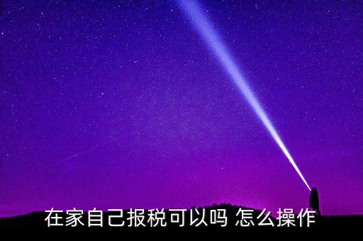 如何自行申報(bào)納稅，在家自己報(bào)稅可以嗎 怎么操作